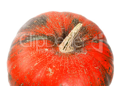 Part of ripe pumpkin on white