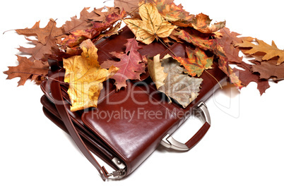 Brown leather briefcase and autumn dry leaves