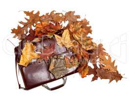Brown leather briefcase and autumn dry leaves