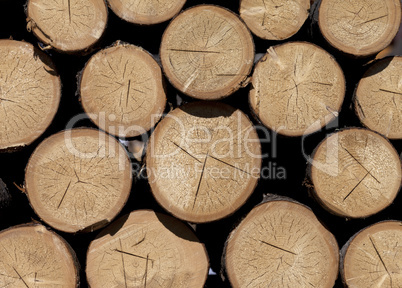 Stack of firewood