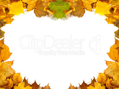 Autumn maple-leafs