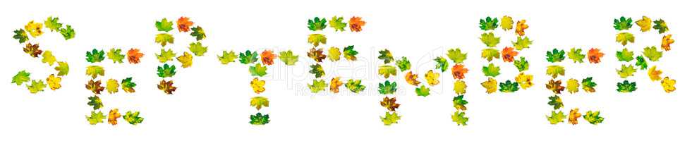 SEPTEMBER text composed of autumn maple leafs