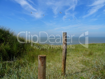 Blick aus einer Düne an der Nordsee