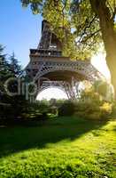 Eiffel tower and trees