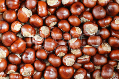 Pile of Chestnuts