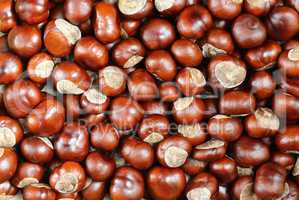 Pile of Chestnuts