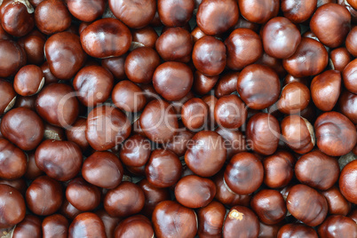 Pile of Chestnuts