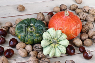 Still life with products of autumn - pumpkins, gourds, nuts, che