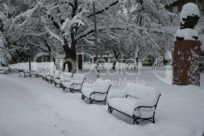 Winter picture