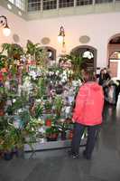 Markt in Santa Cruz de La Palma