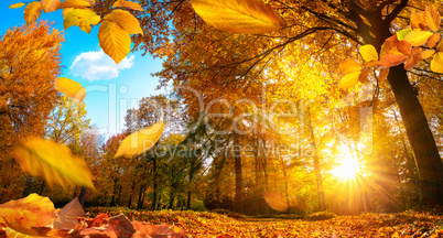 Goldener Herbst in einem Park, mit fallenden Blättern und blaue