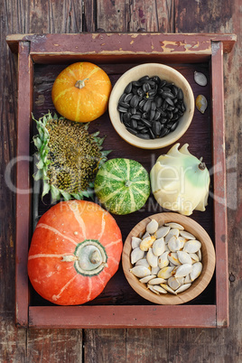 Autumn vegetables and fruits