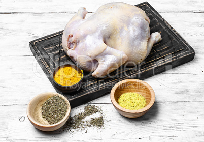 Chicken on the kitchen table