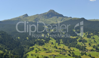 Bergpanorama bei Grindelwald, Schweiz