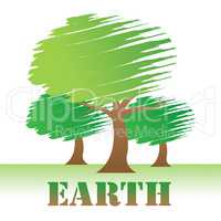 Earth Trees Represents Environment Forest And Nature