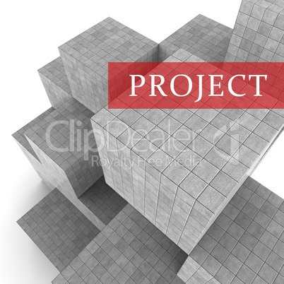 Project Blocks Indicates Mission Plan 3d Rendering