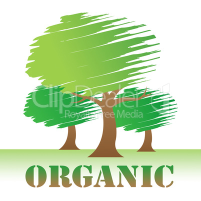 Organic Trees Indicates Woods Environment And Reforestation