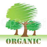 Organic Trees Indicates Woods Environment And Reforestation