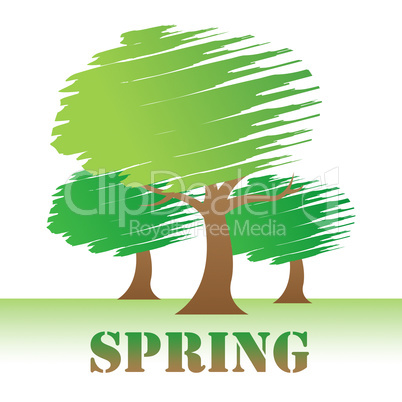 Spring Trees Indicates Nature Woods And Springtime