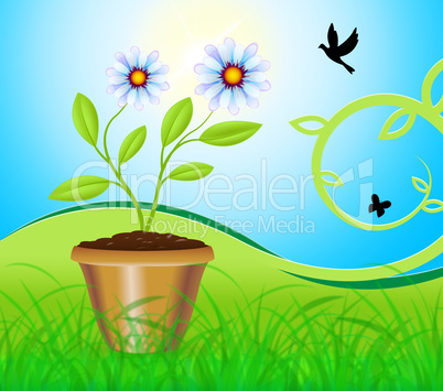 Potted Plant Means Flower And Gardening 3d Illustration