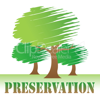 Preservation Trees Shows Natural Forestation And Environment