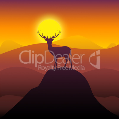 Mountain Deer Represents Wilderness Buck And Hunting
