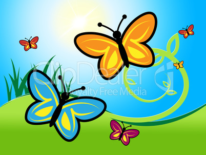 Butterfly In Summer Indicates Warmth Warm And Summertime