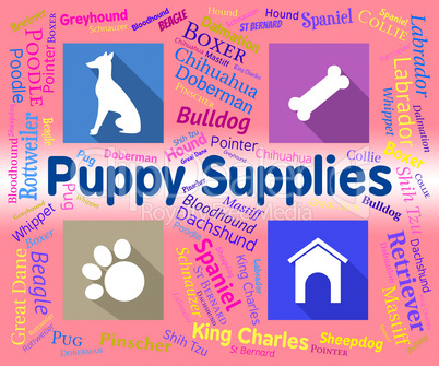 Puppy Supplies Indicates Merchandise Pets And Purebred