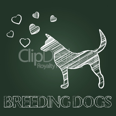 Breeding Dogs Means Mating Canines And Offspring