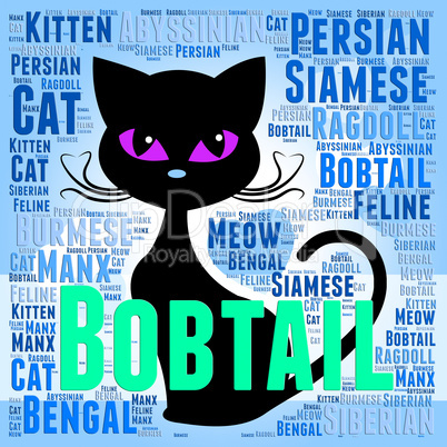 Bobtail Cat Represents Puss Mating And Reproducing