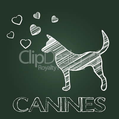 Canines Word Shows Doggy Pet And Pets