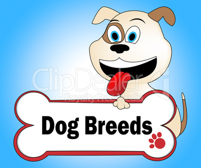 Dog Breeds Shows Purebred Pets And Pet