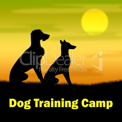 Dog Training Camp Means Coach Pups And Doggy