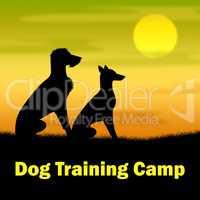 Dog Training Camp Means Coach Pups And Doggy