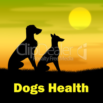 Dogs Health Shows Puppies Canines And Landscape