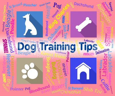 Dog Training Tips Means Coaching Instruction And Pets