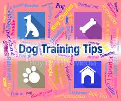 Dog Training Tips Means Coaching Instruction And Pets