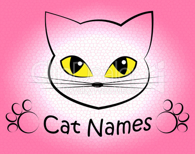 Cat Names Represents Kitty Pets And Feline