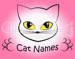 Cat Names Represents Kitty Pets And Feline