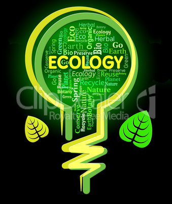 Ecology Words Represents Light Bulb And Earth