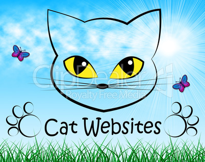 Cat Websites Indicates Cats Kitten And Puss