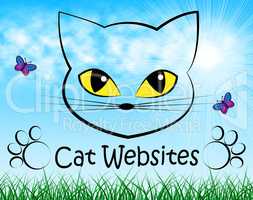 Cat Websites Indicates Cats Kitten And Puss