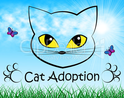 Cat Adoption Indicates Guardianship Kitty And Adopting