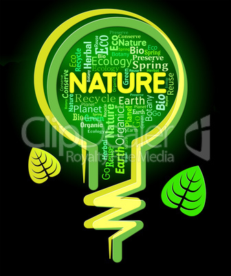 Nature Words Shows Light Bulb And Environment