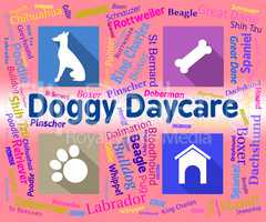 Doggy Daycare Shows Pet Pups And Canines