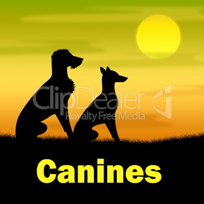 Canines Word Indicates Dog Field And Puppy
