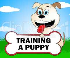 Training A Puppy Represents Trainer Instruction And Coach
