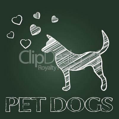 Pet Dogs Means Domestic Animals And Canine