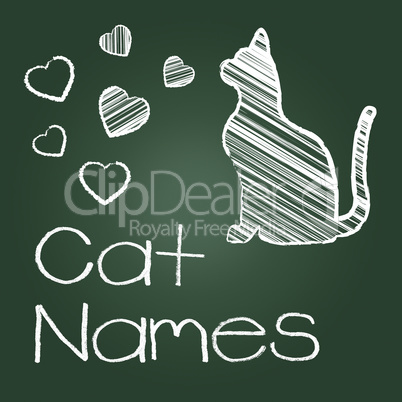 Cat Names Represents Feline Identity And Cats