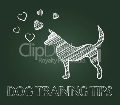 Dog Training Tips Shows Instruction Skills And Coaching